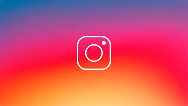 Suivez Apollo Van sur Instagram  !