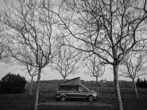 Quels sont les forums et groupes dédiés au van Mercedes Marco Polo ?